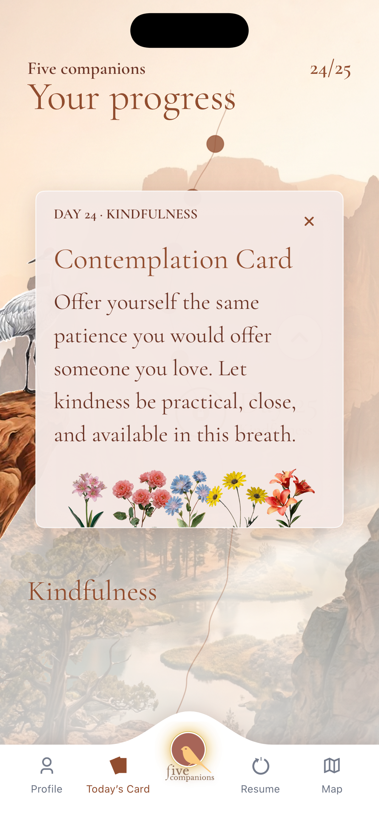 Daily contemplation card and flower garden