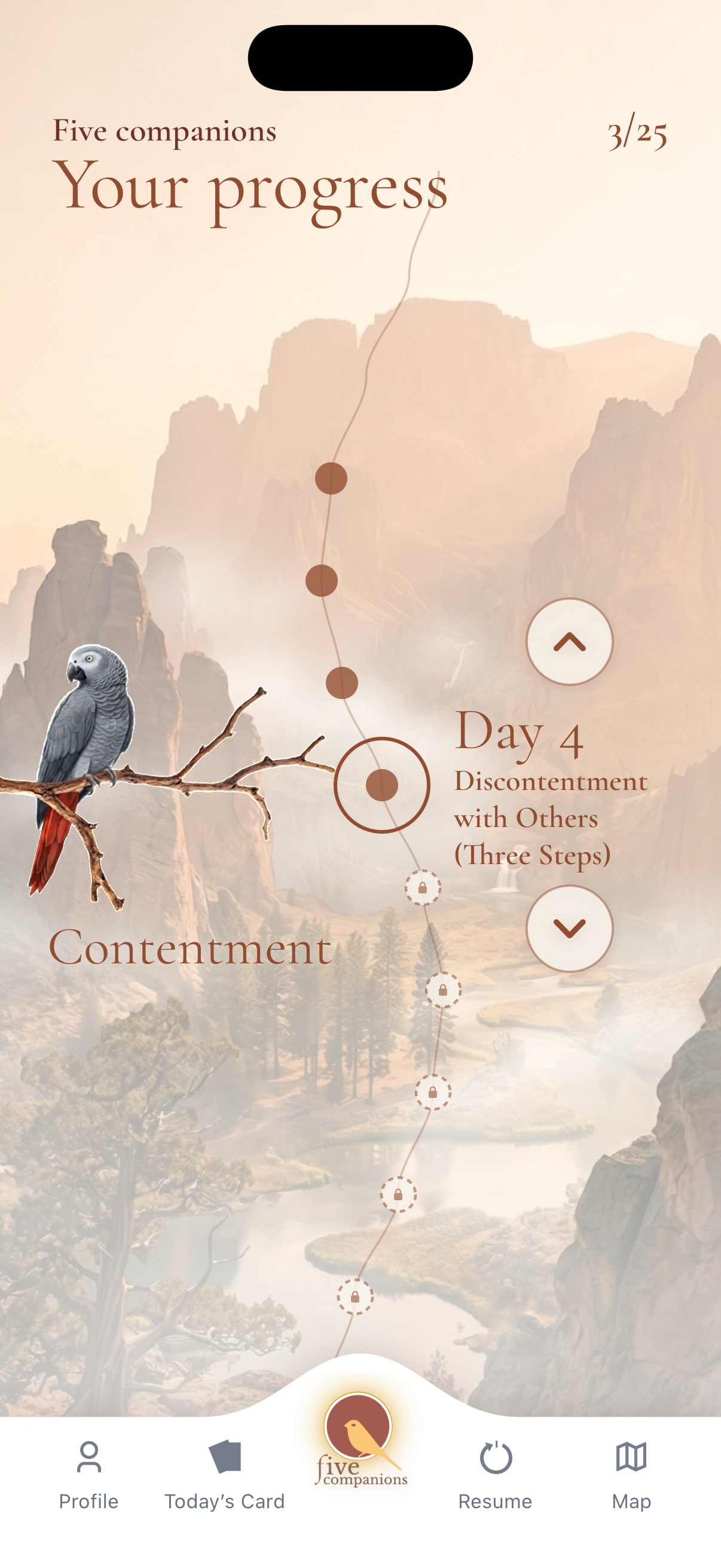 Progress path in the Five Companions app