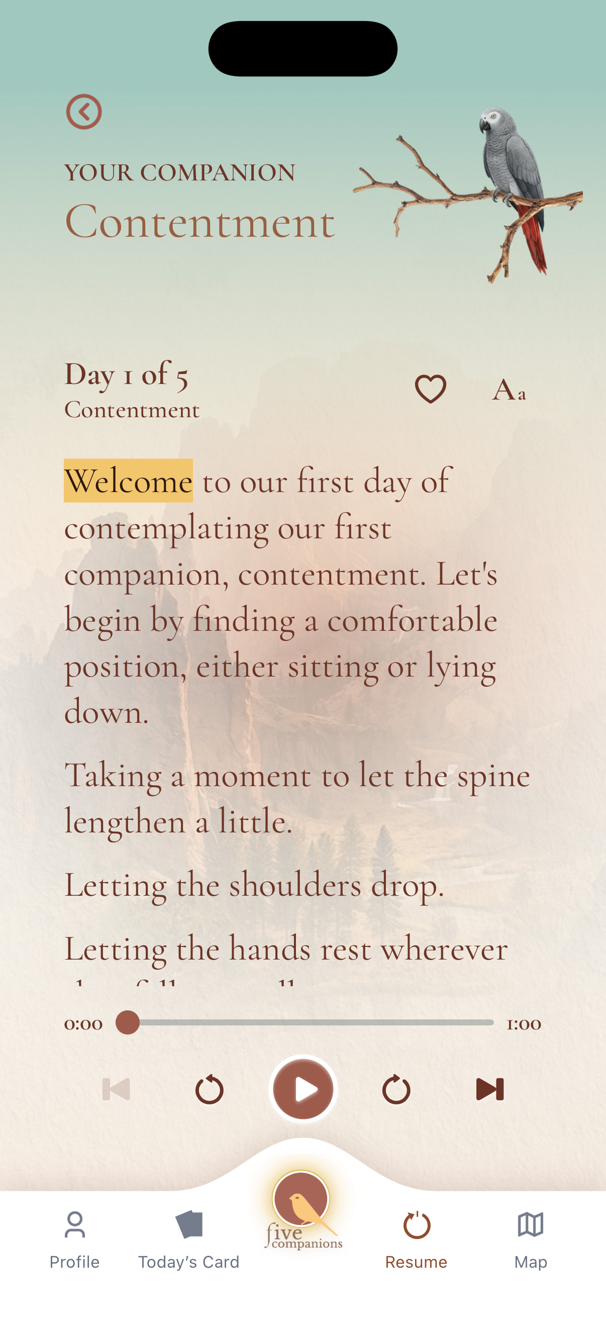 Guided meditation player with synchronized transcript