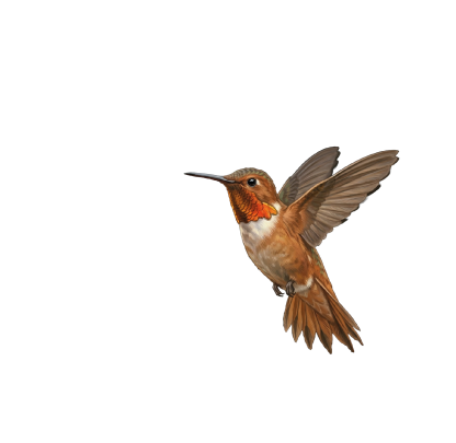 Forgiveness companion bird