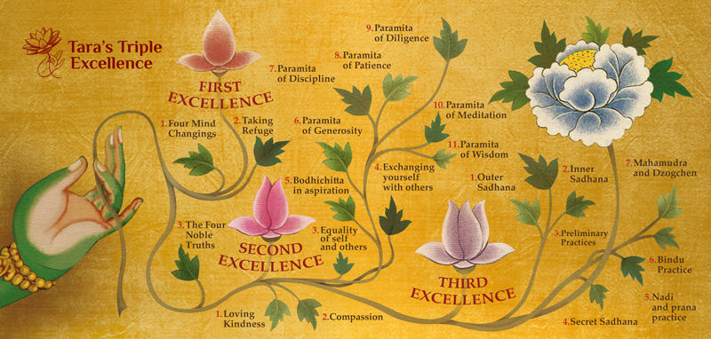 Tara’s Triple Excellence path diagram